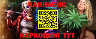 гидра Будённовск
