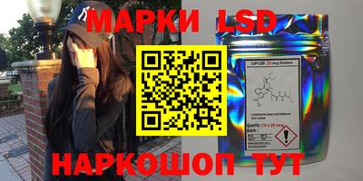 гидра Будённовск