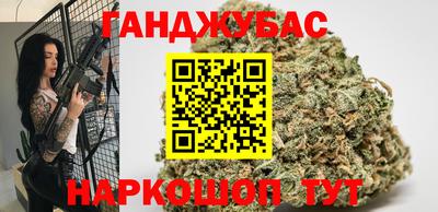 гидра Будённовск
