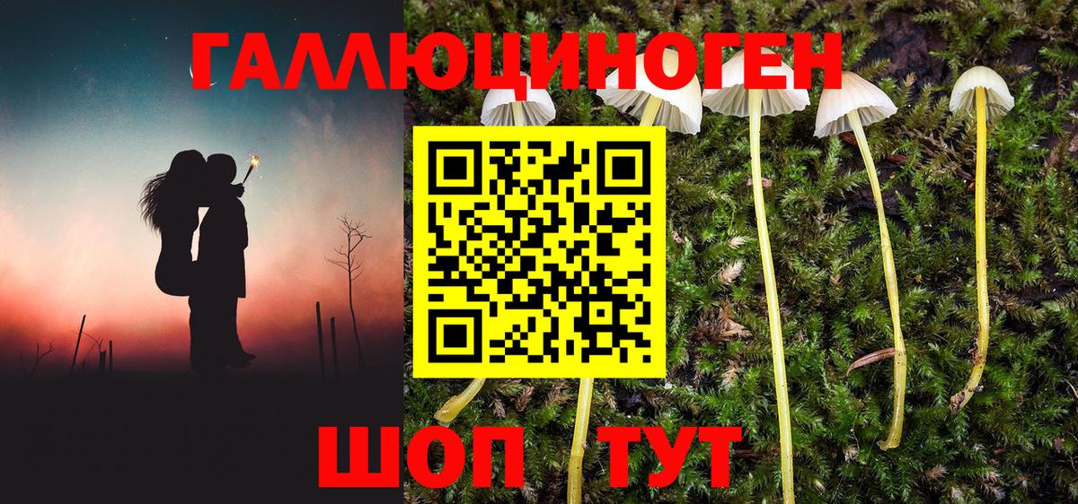 Псилоцибиновые грибы GOLDEN TEACHER  Вход с VPN  Саяногорск  Галлюциногенные грибы Magic Shrooms 